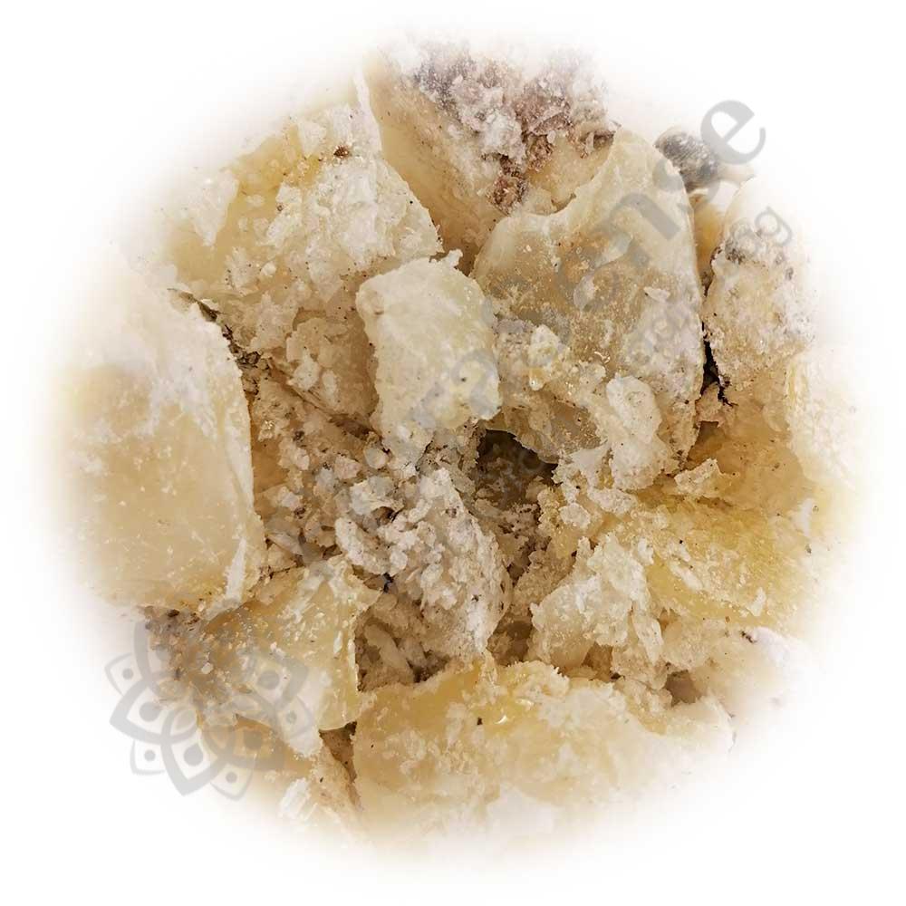 Copal Blanco Mexico - mexikói fehér kopál gyanta Copal Blanco Mexico - mexikói fehér kopál gyanta